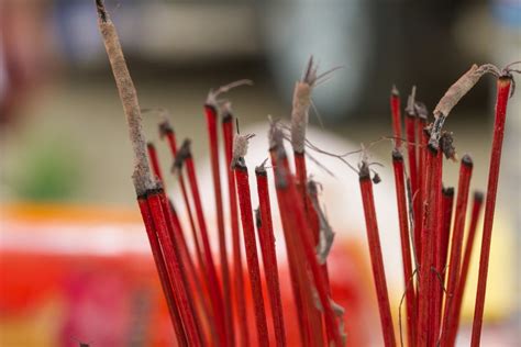 鬼月可以算命嗎|鬼月應做祭祖？命理師：農曆七月祭祖增好運，人生路。